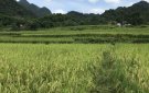 Xã Phú Nghiêm phấn đấu về đích nông thôn mới năm 2018