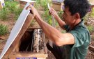 Hỗ trợ phát triển sản xuất và ngành nghề nông thôn "Mô hình cải tạo vườn tạp và nuôi ong lấy mật" thuộc Chương trình xây dựng nông thôn mới xã Phú Nghiêm năm 2018